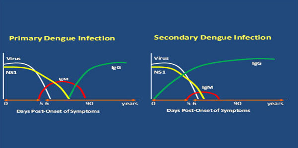 image: showing comparison between primary and secondary infections