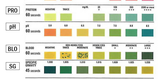 Urine Dipstick Colour Chart