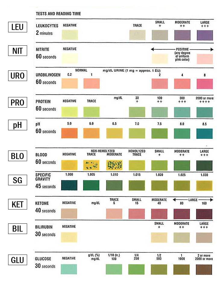 Azo Test Strips Color Chart