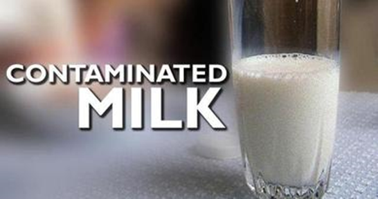 contaminated milk