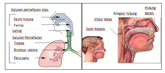 Cara merawat hilang deria rasa