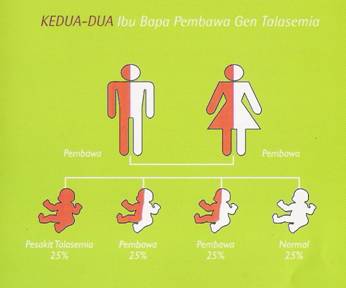 Thalassemia in malay