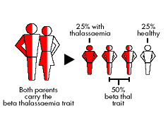 Talasemia penyakit Penyakit Bawaan: